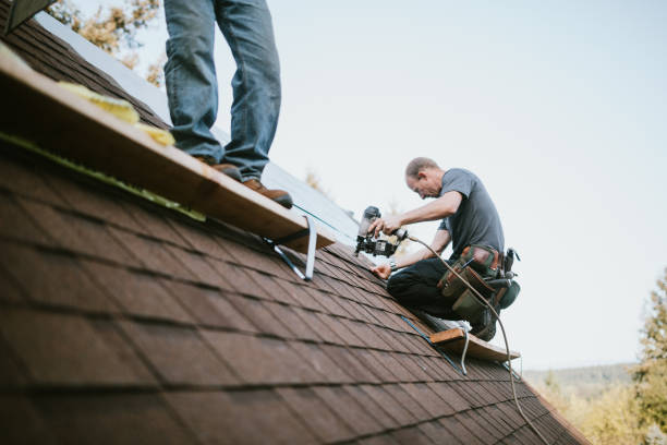 Quick and Trustworthy Emergency Roof Repair Services in East Bangor, PA